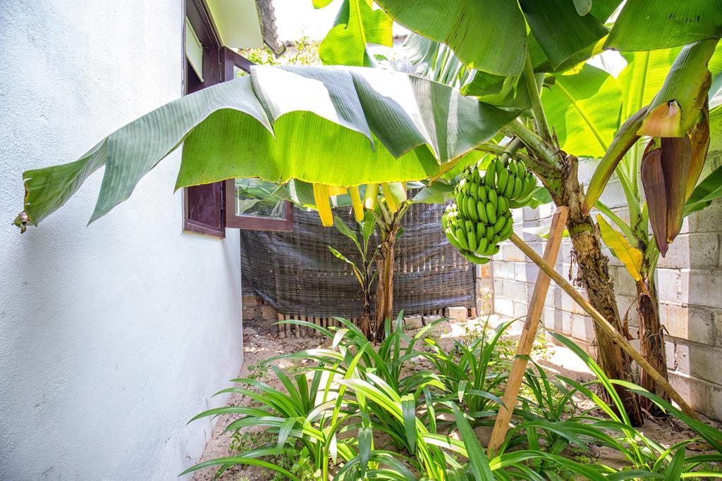 Red Flower Cottages Homestay Хойан Экстерьер фото